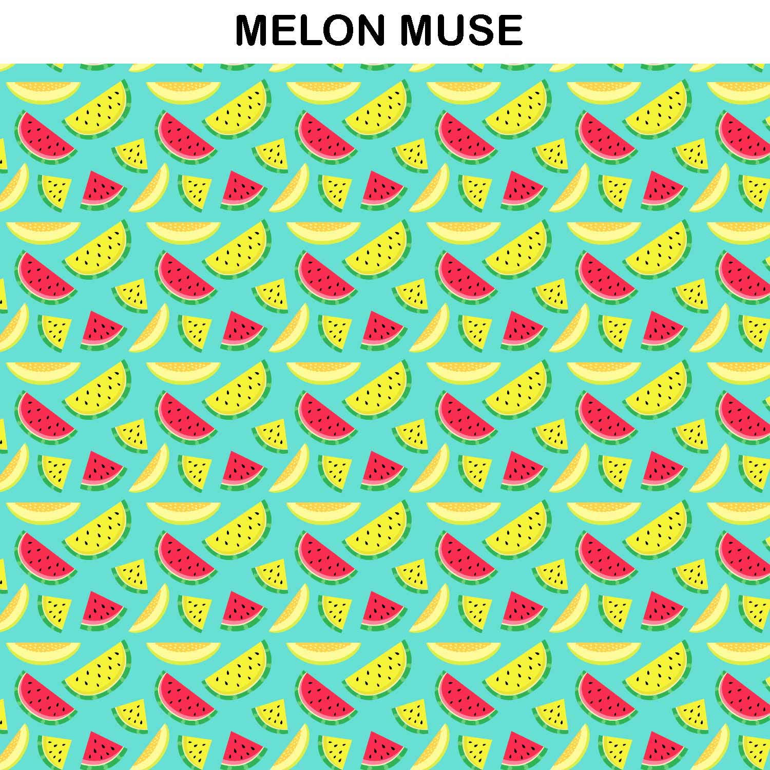 WATERMELONS PRINT MACBOOK & A4 FOLDER SLEEVE CUSTOMISER